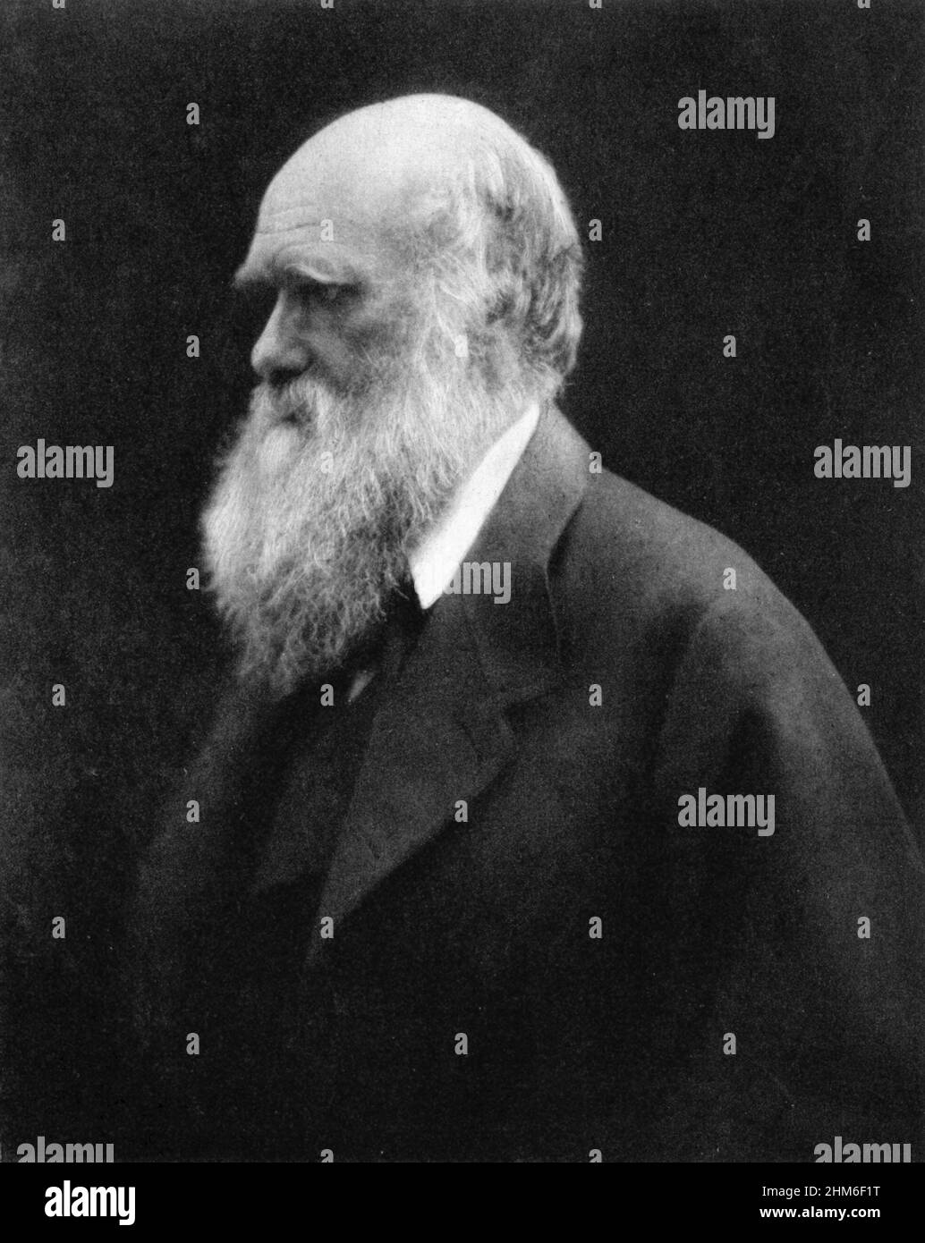 A portrait of the English writer and founder of the theory of batural selection, Charles Darwin from 1868 when he was 57 yrs old. Stock Photo