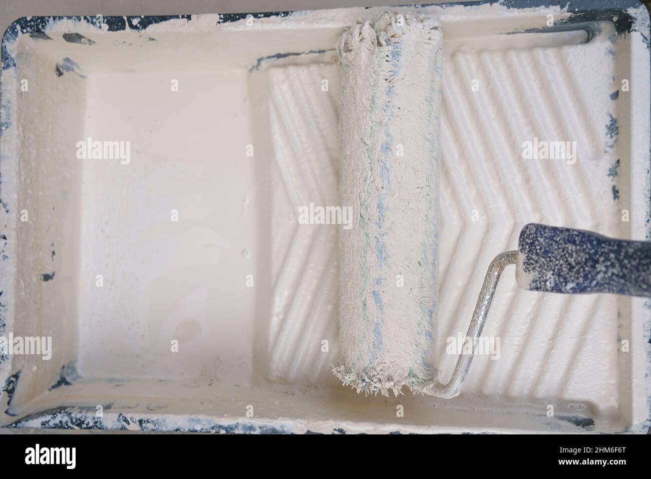 wall painting And renovation. Roller and paint. roller in a container
