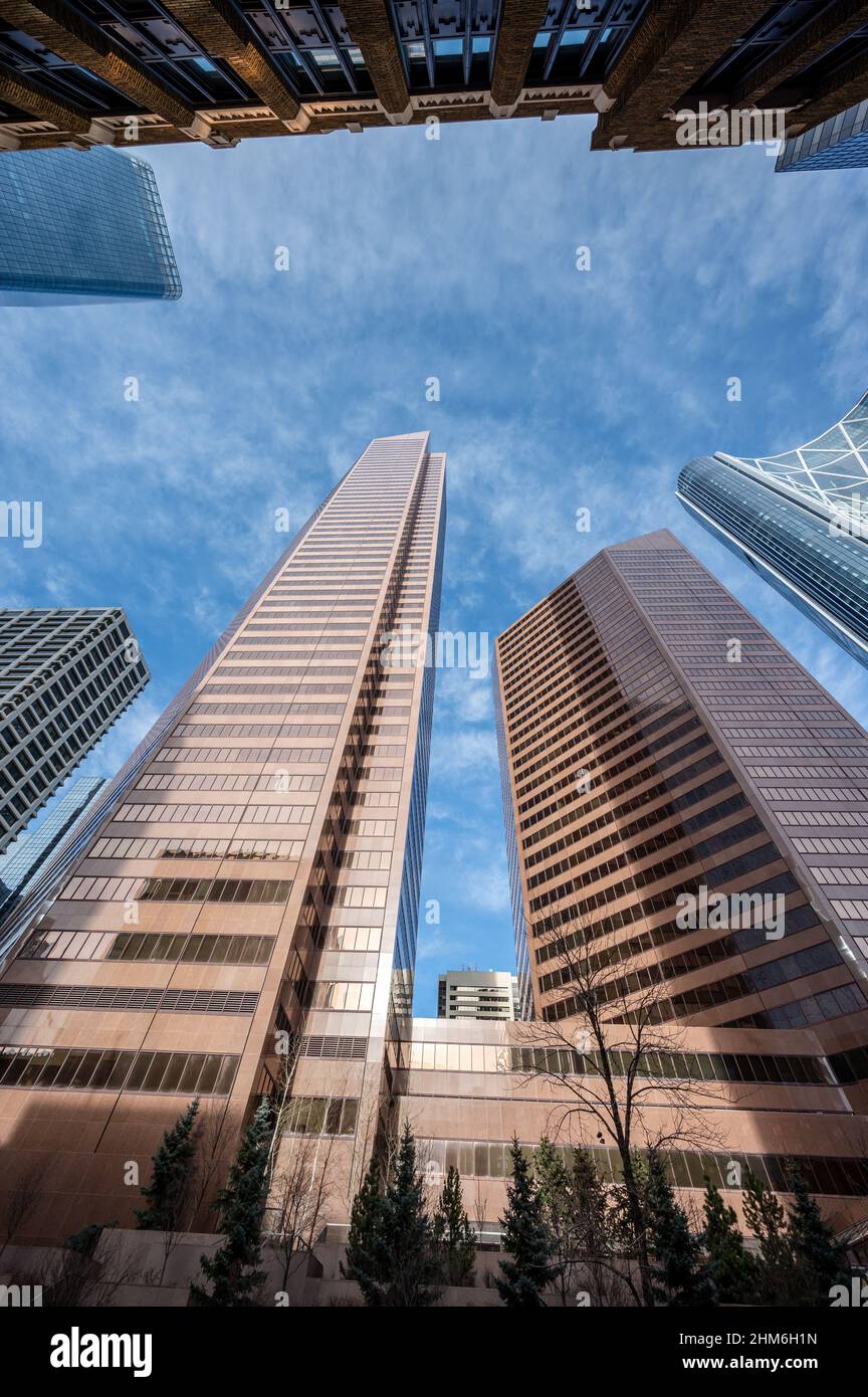 Looking up at skyscrapers in the city of Calgary Stock Photo - Alamy
