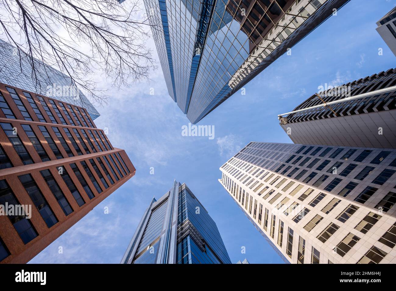 Looking up at skyscrapers in the city of Calgary Stock Photo - Alamy