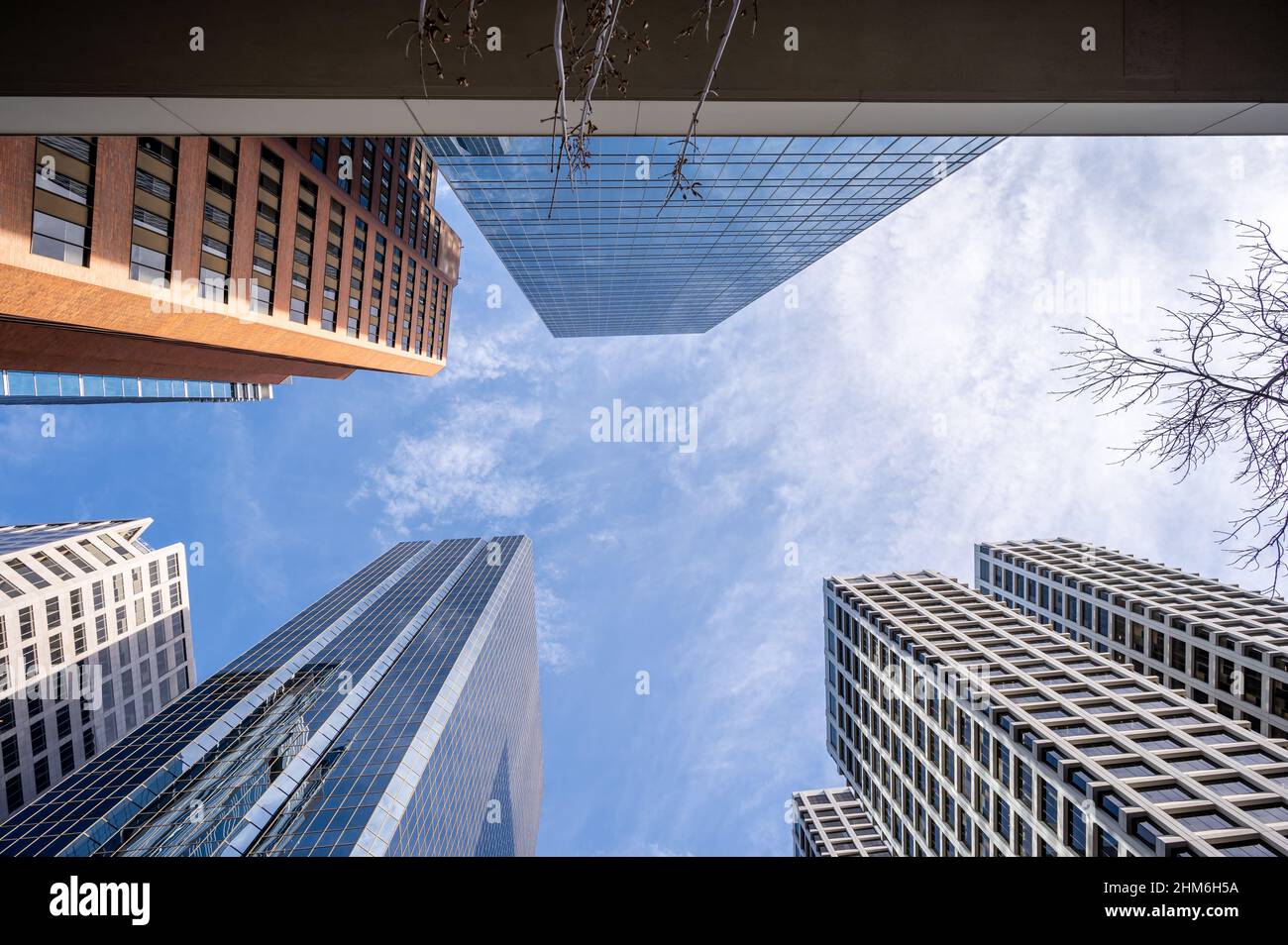 Looking up at skyscrapers in the city of Calgary Stock Photo - Alamy