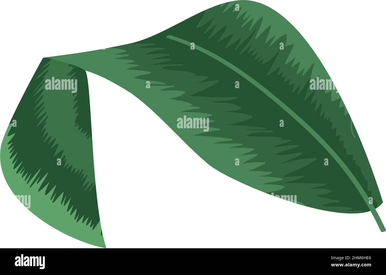 palm tropical leave nature icon Stock Vector Image & Art - Alamy