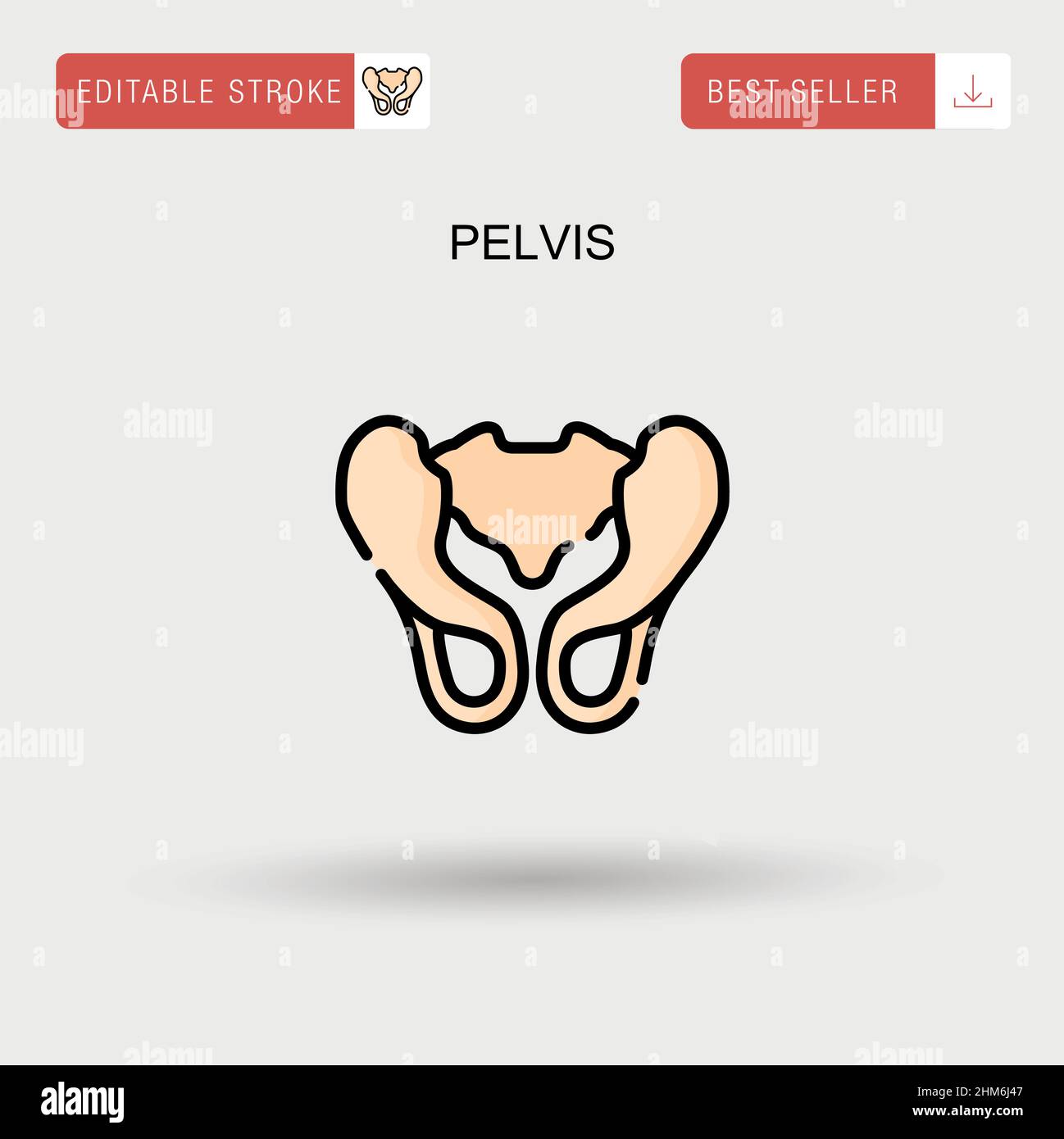 Pelvis Simple vector icon. Stock Vector