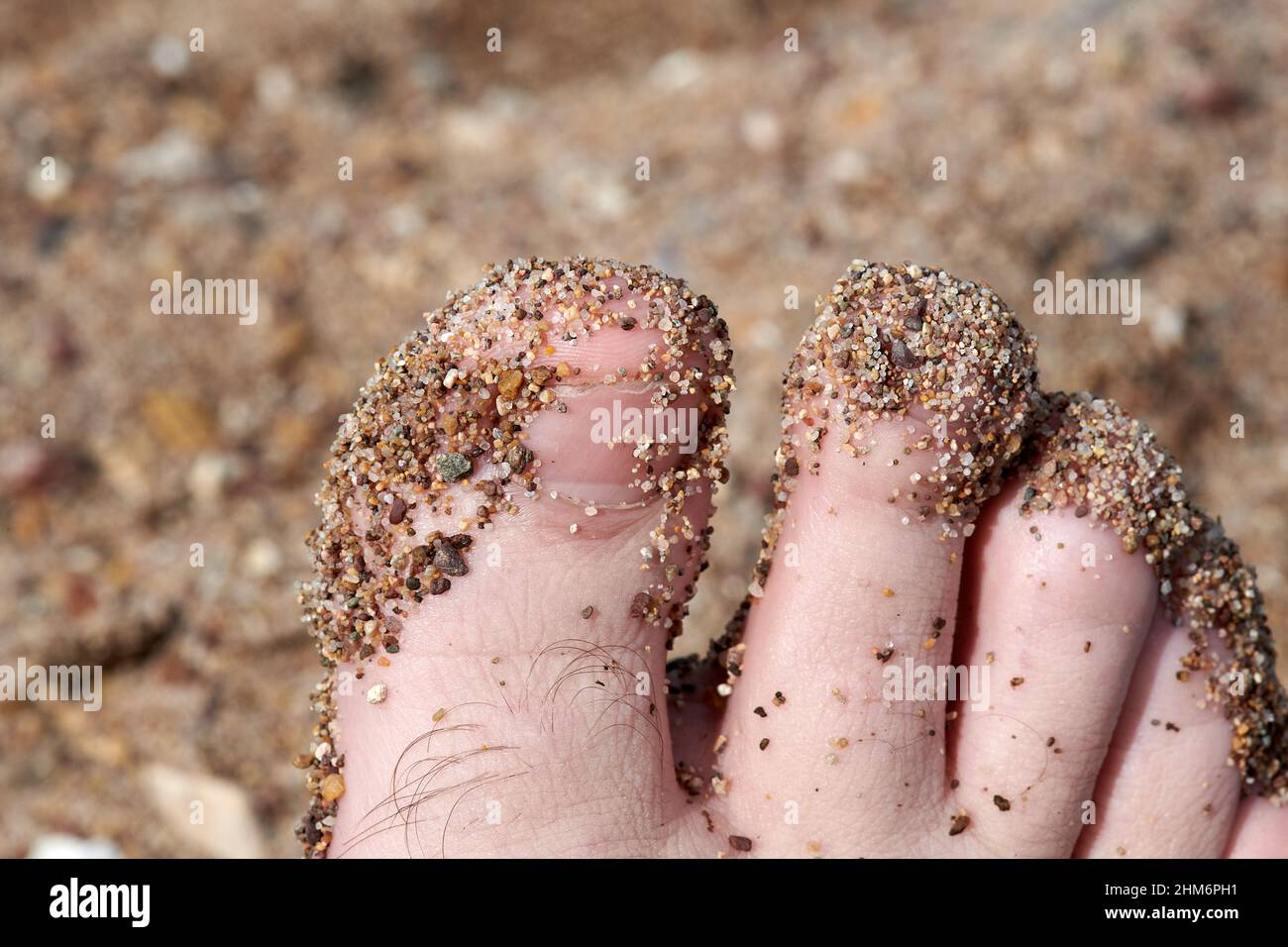 one foot in the sand is dirty in the summer Stock Photo