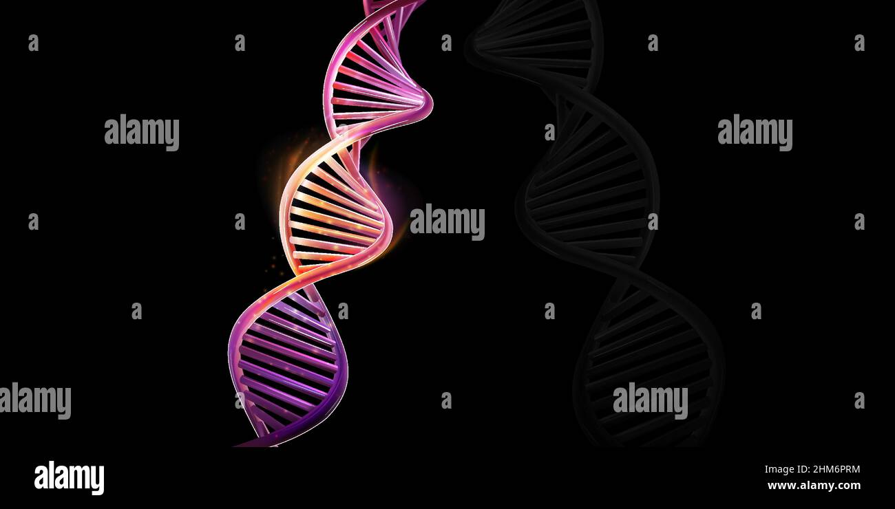 DNA double helix model on a black background Stock Vector Image & Art ...