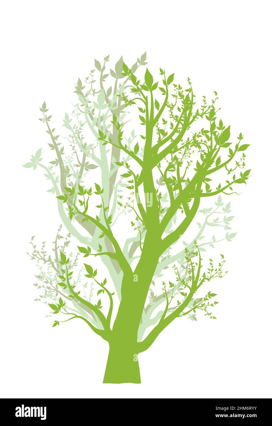 a single tree with leaves silhouette with white background Stock Vector