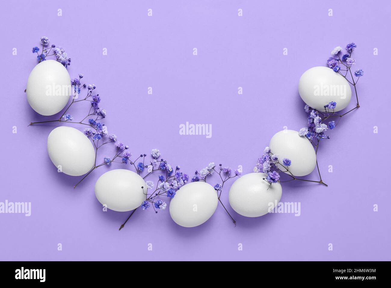 Composition with Easter eggs and gypsophila flowers on lilac background ...