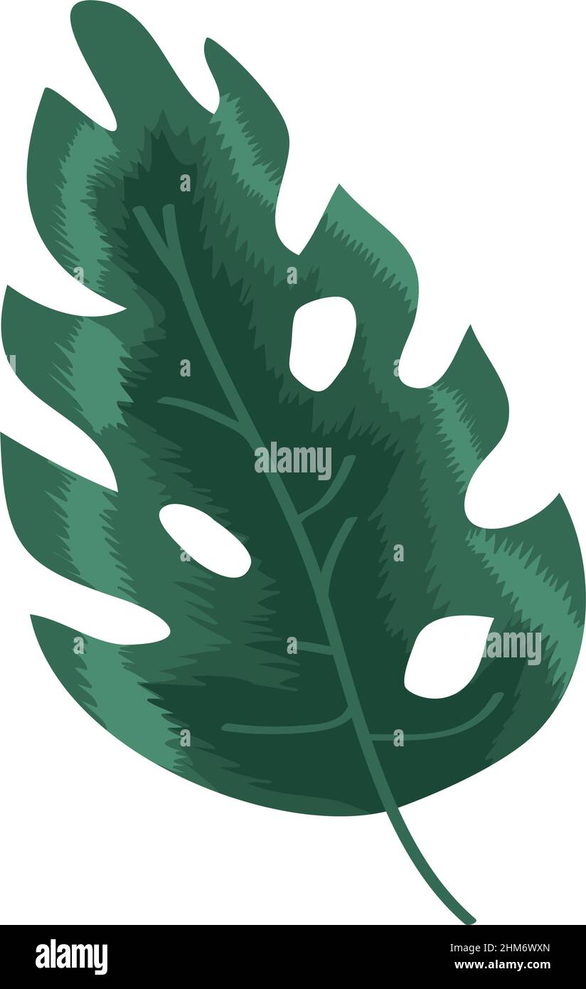 exotic leaf plant nature icon Stock Vector Image & Art - Alamy