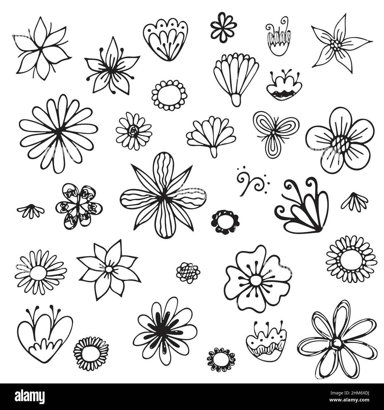Set of Hand drawn line sketch, vector doodle floral collection Stock ...