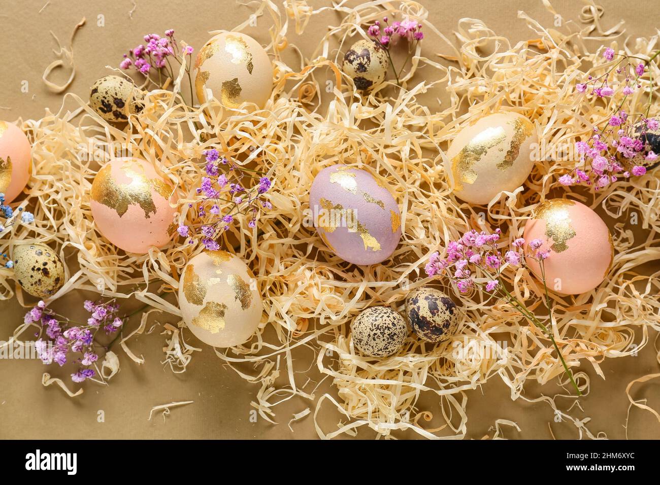 Composition with beautiful Easter eggs and gypsophila flowers on color ...