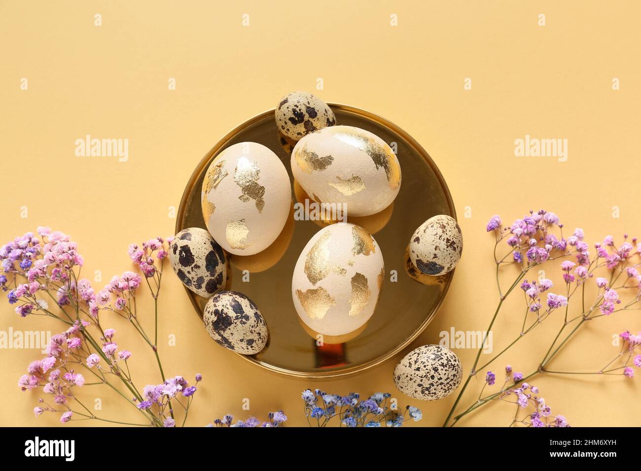 Composition with beautiful Easter eggs and gypsophila flowers on color ...