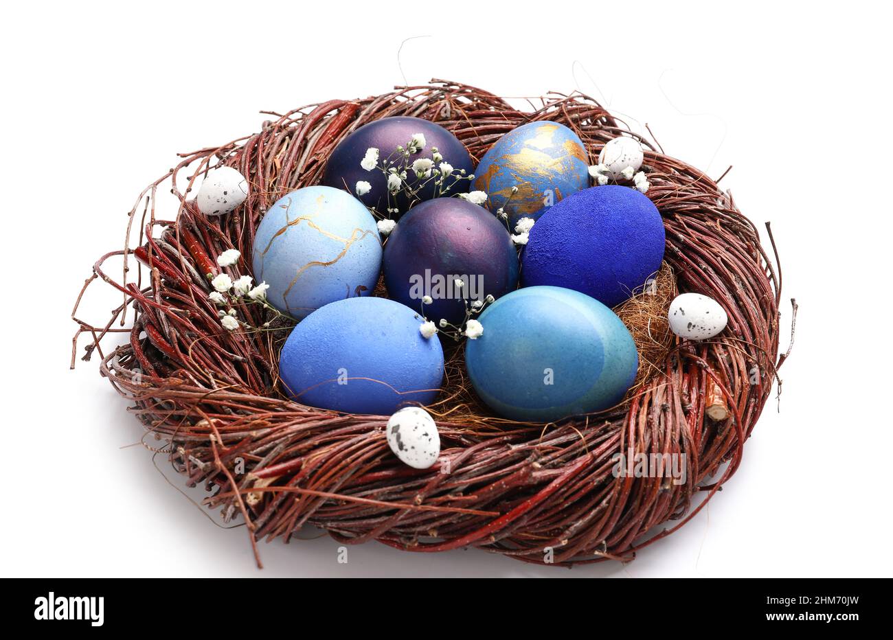 Nest with beautiful Easter eggs and gypsophila flowers on white ...