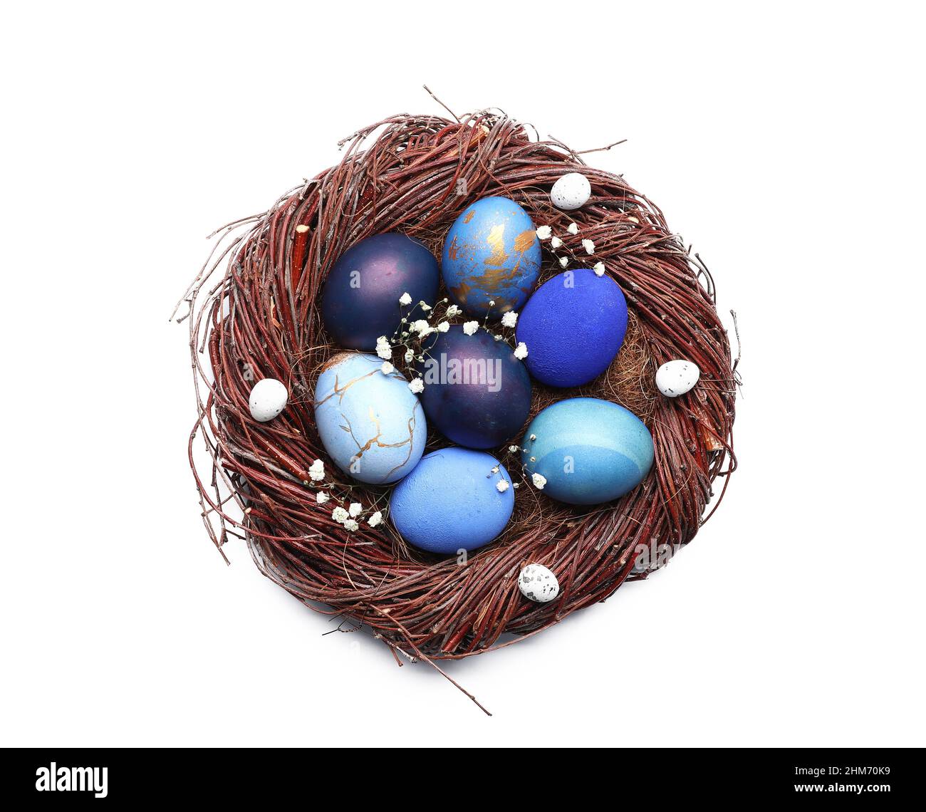 Nest with beautiful Easter eggs and gypsophila flowers on white ...