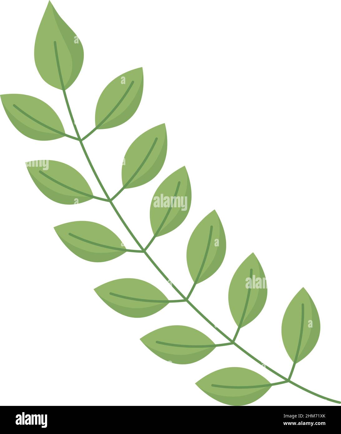 branch with leafs plant icon Stock Vector Image & Art - Alamy