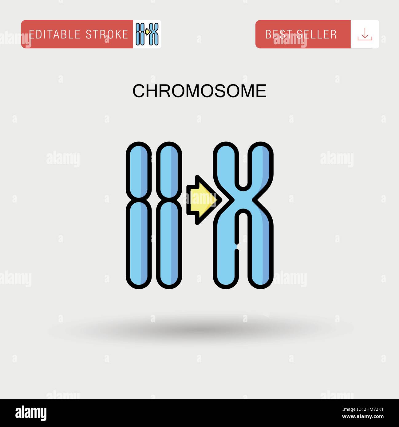 Human chromosome diagram hi-res stock photography and images - Alamy