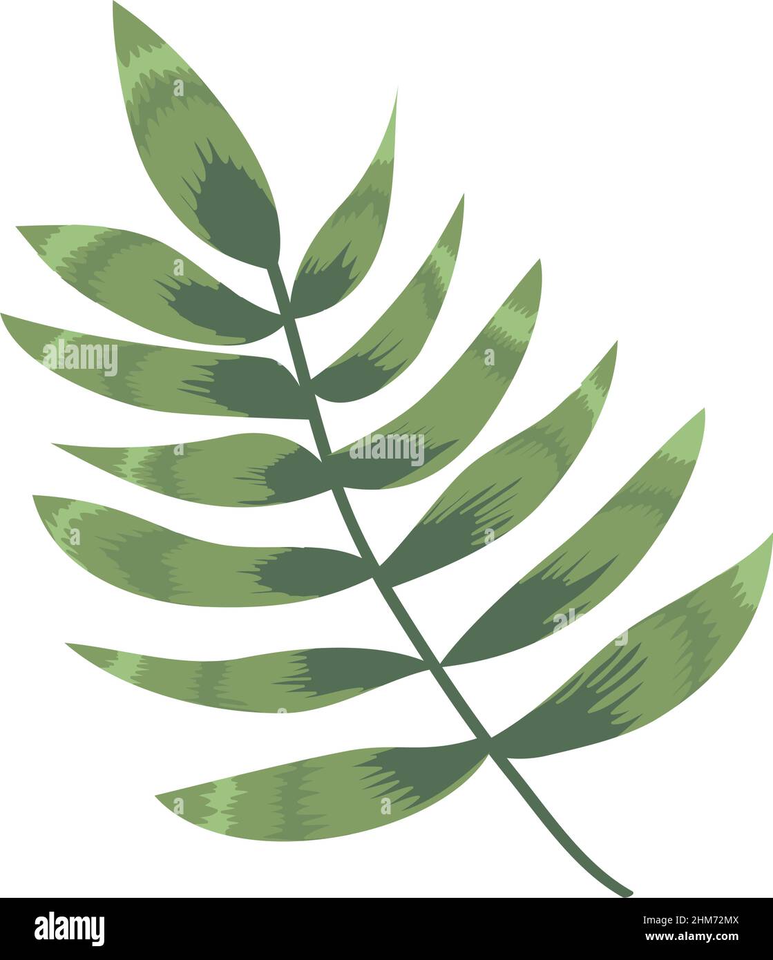 green tropical leaf palm icon Stock Vector Image & Art - Alamy