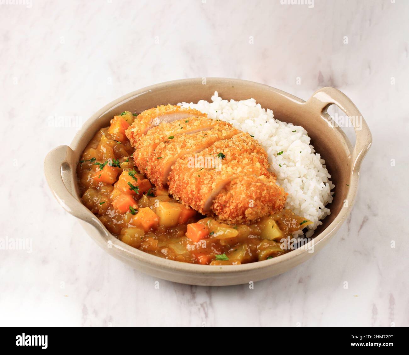 Crispy Fried Chicken or Pork Tonkatsu Cutlet with Japanese Curry and