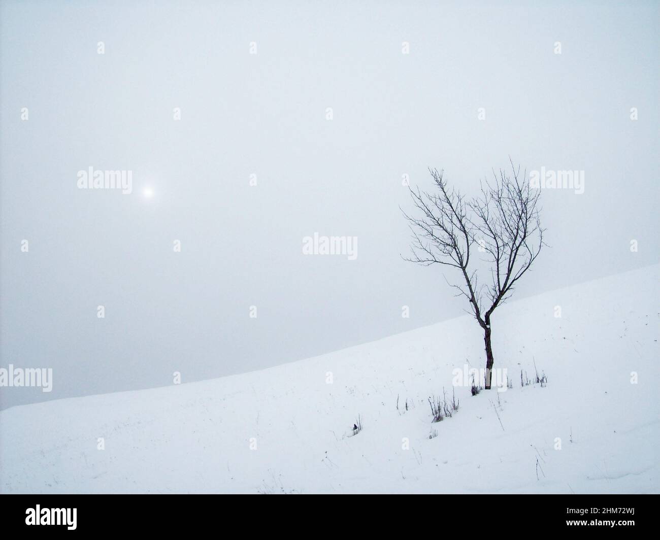 Chilling view of a snow-covered field after a snowfall Stock Photo - Alamy
