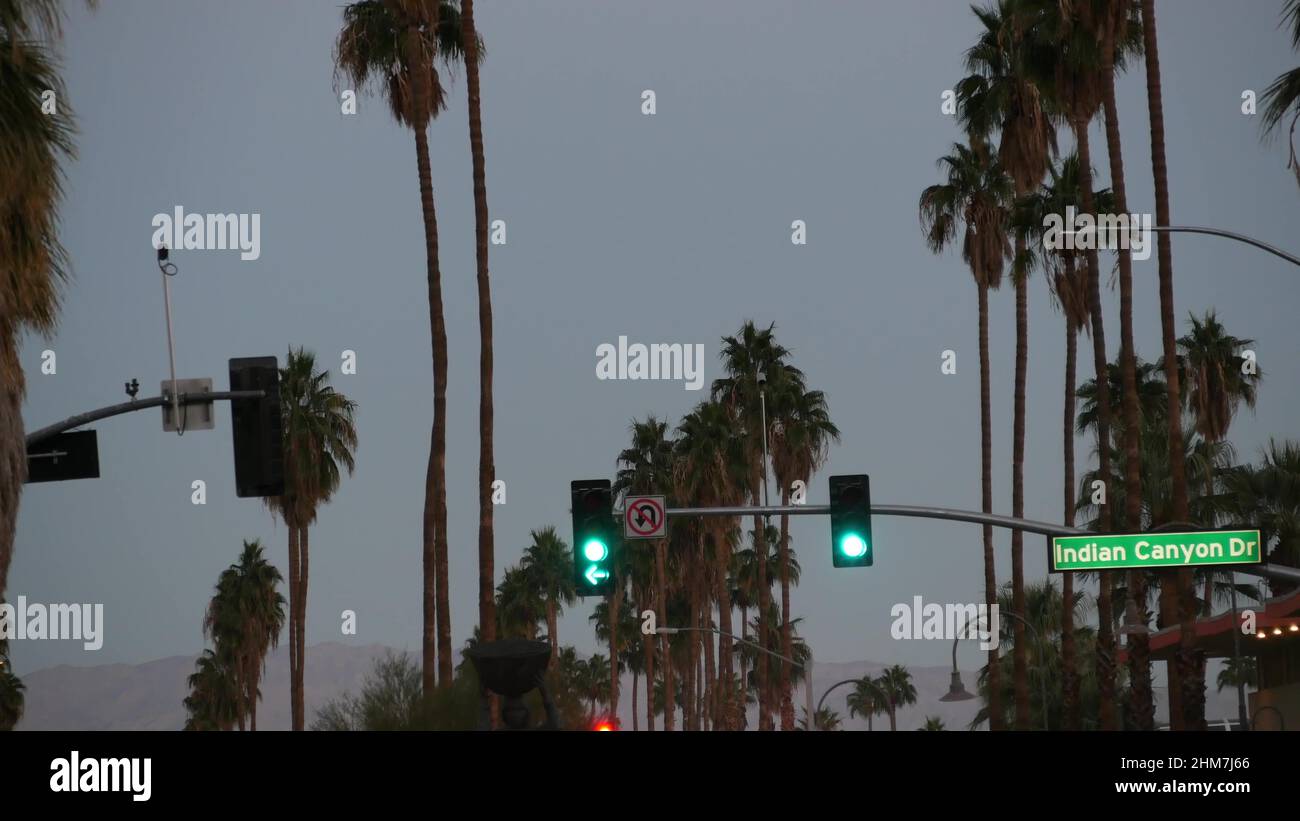 Palm trees on Palm Springs street, city near Los Angeles, semaphore