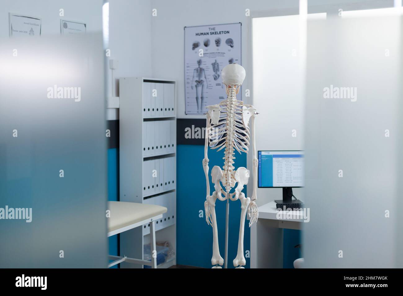 Human anatomy back view hi-res stock photography and images - Alamy