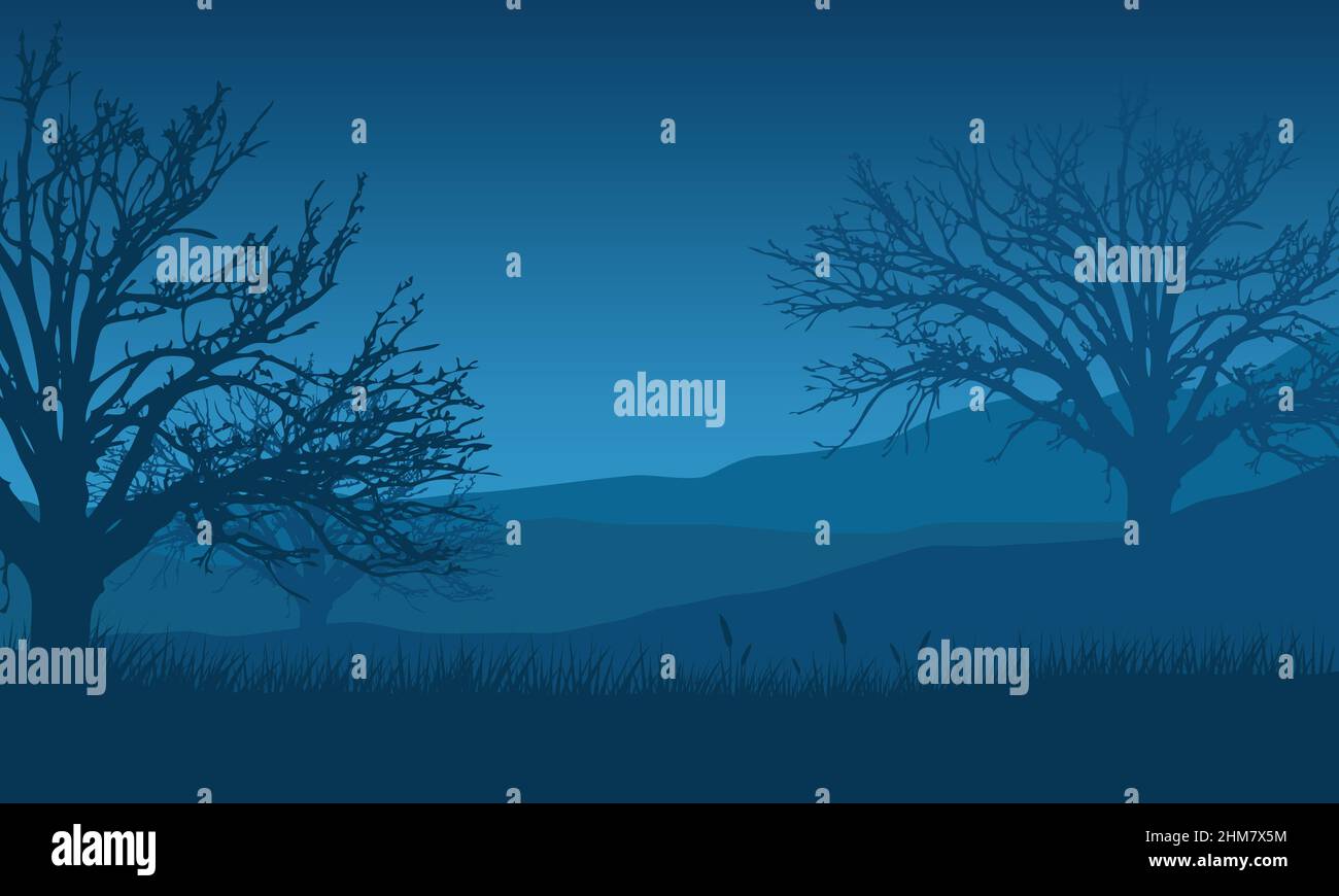 A view of the mountain with aesthetic dry pine tree silhouette at night ...