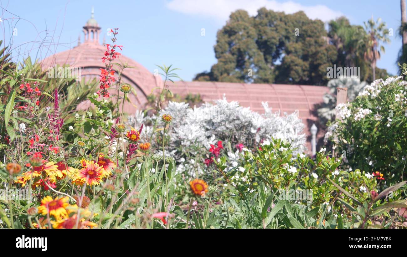 Botanical building in garden, green grass, lawn or meadow, flowers in ...