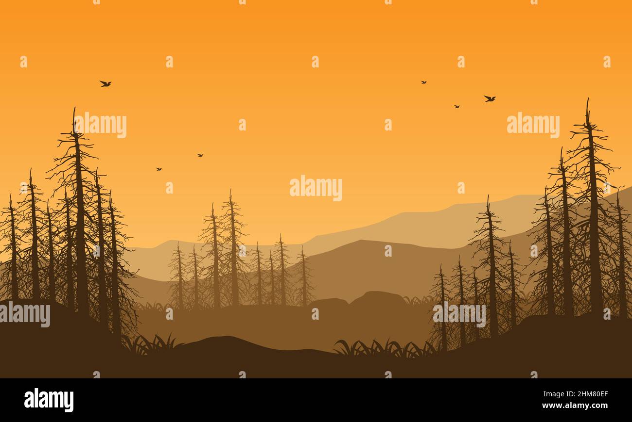 An mountain panorama with an aesthetic silhouette of dry pine trees at ...