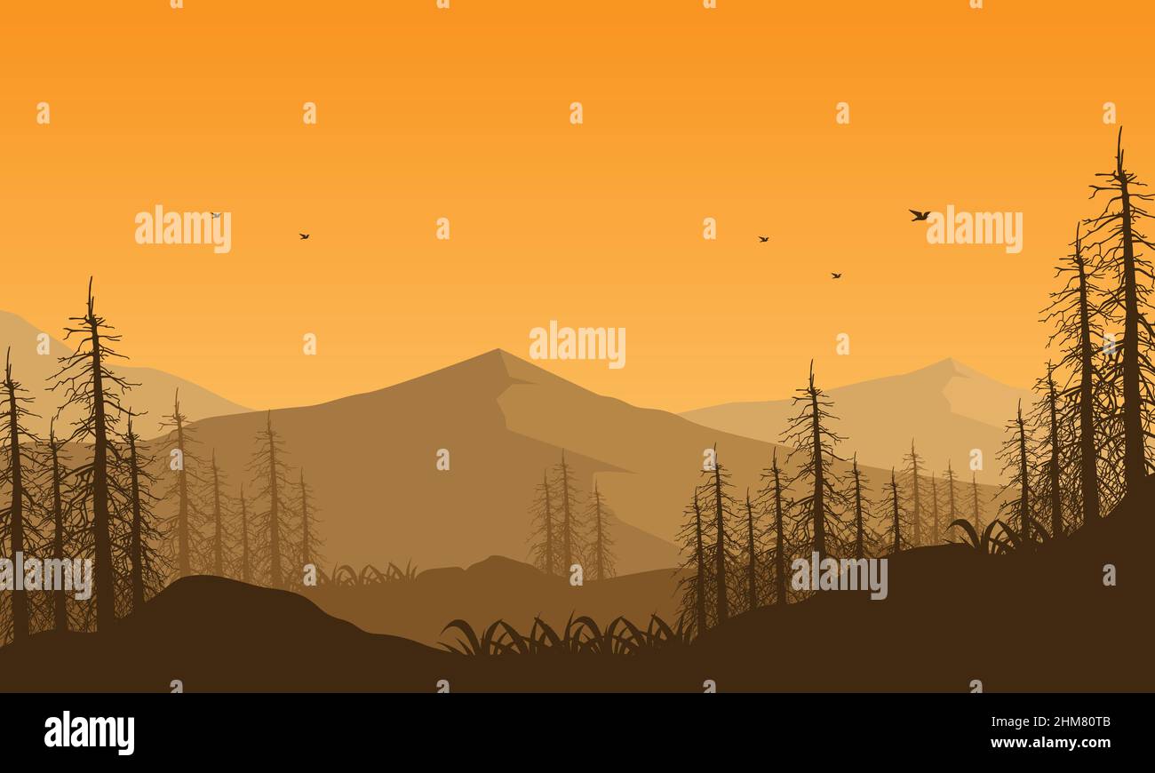 The mountain view with an aesthetic silhouette of dry pine trees at ...