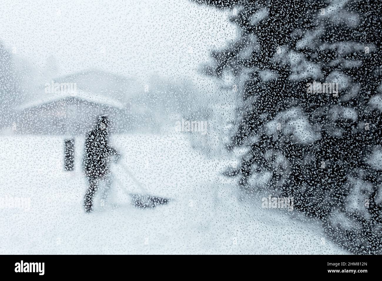 Countless small drops of water on the glass during a blizzard. Tree ...