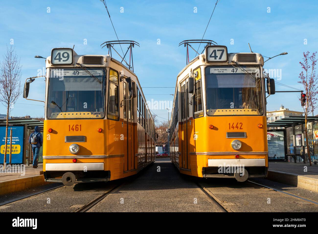 BUDAPEST - JAN 20: Two traditional yellow  tramways in a street of Budapest, January 20. 2022 in Hungary Stock Photo