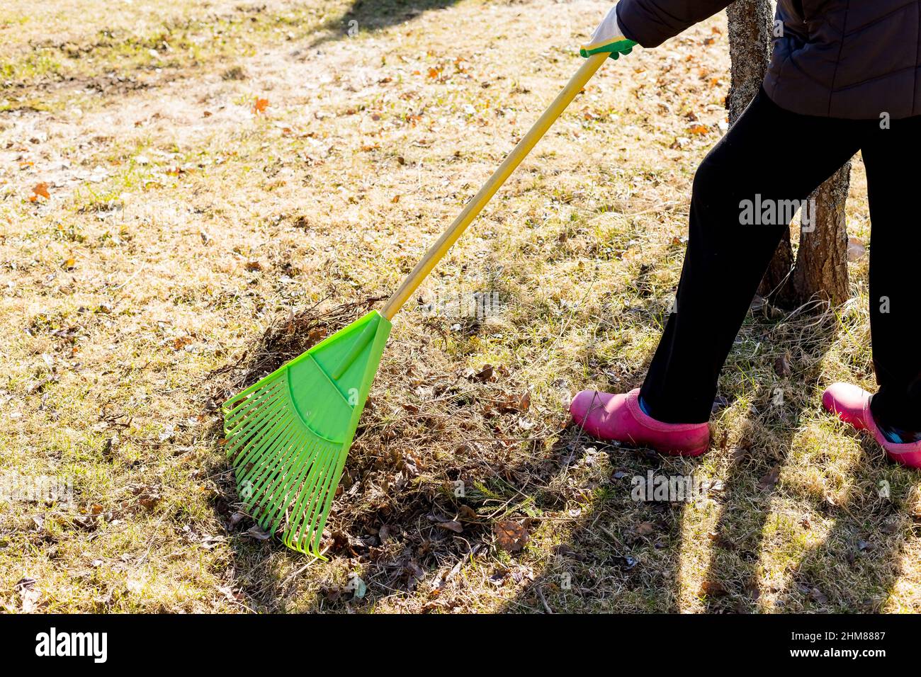 Seasonal raking of leaves in the garden. Concept of cleaning and caring