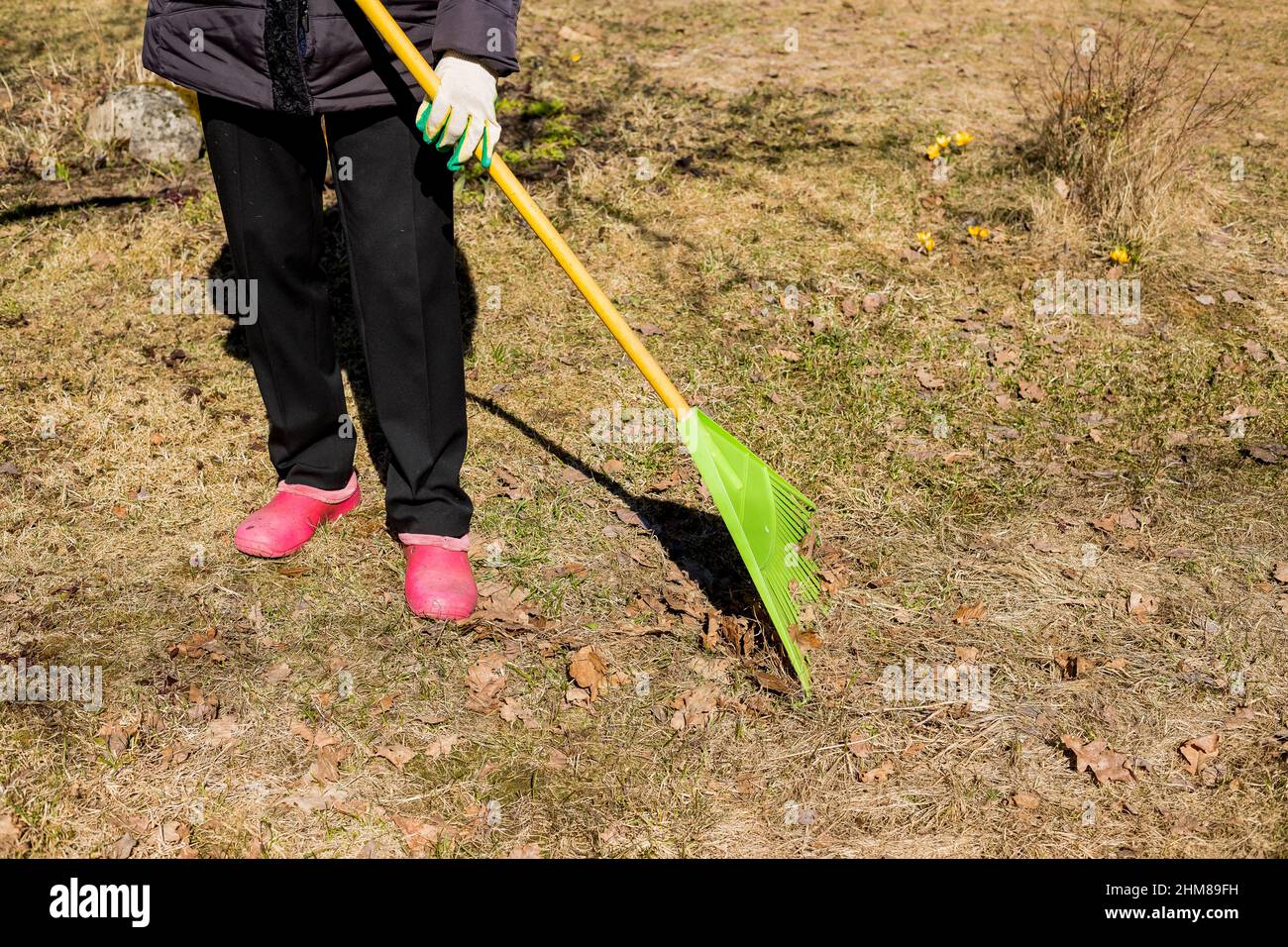 Seasonal raking of leaves in the garden. Concept of cleaning and caring