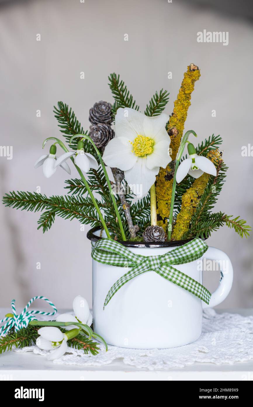 winter bouquet of helleborus niger, snowdrops and fir branches in vintage enamel cup Stock Photo