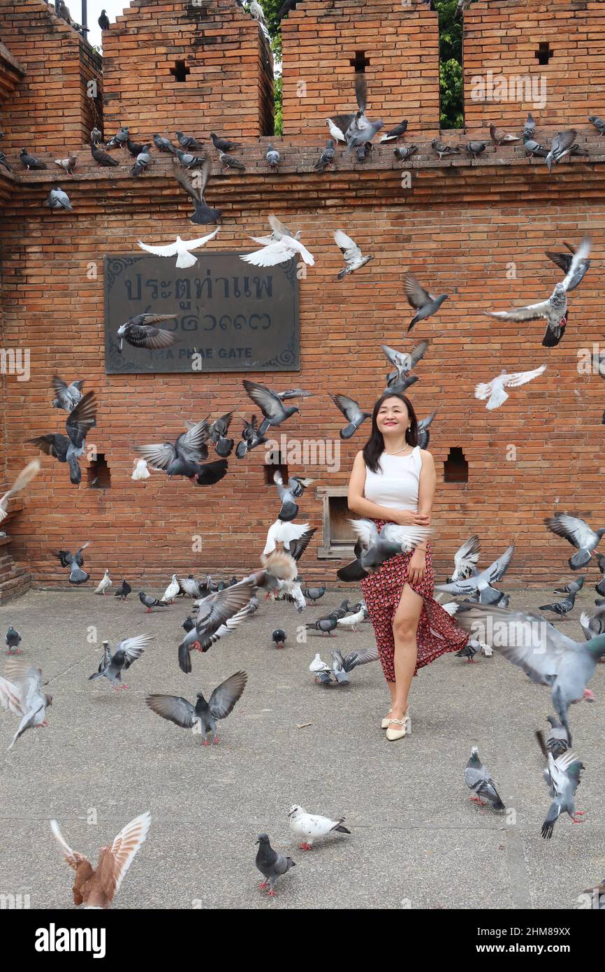 Thai woman walking and smiling with pigeons flying in front of the Tha Phae gate, Chiang Mai, Thailand Stock Photo