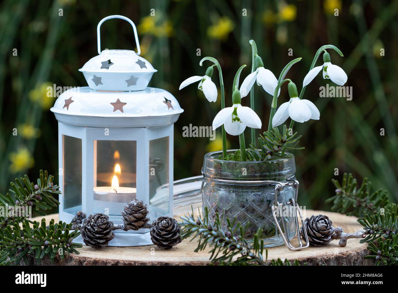 Lantern garden glass hi-res stock photography and images - Alamy