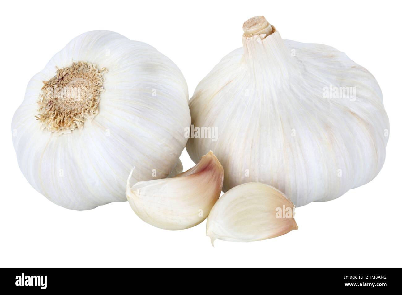 Garlic healthy spice vegan vegetable isolated on a white background Stock Photo