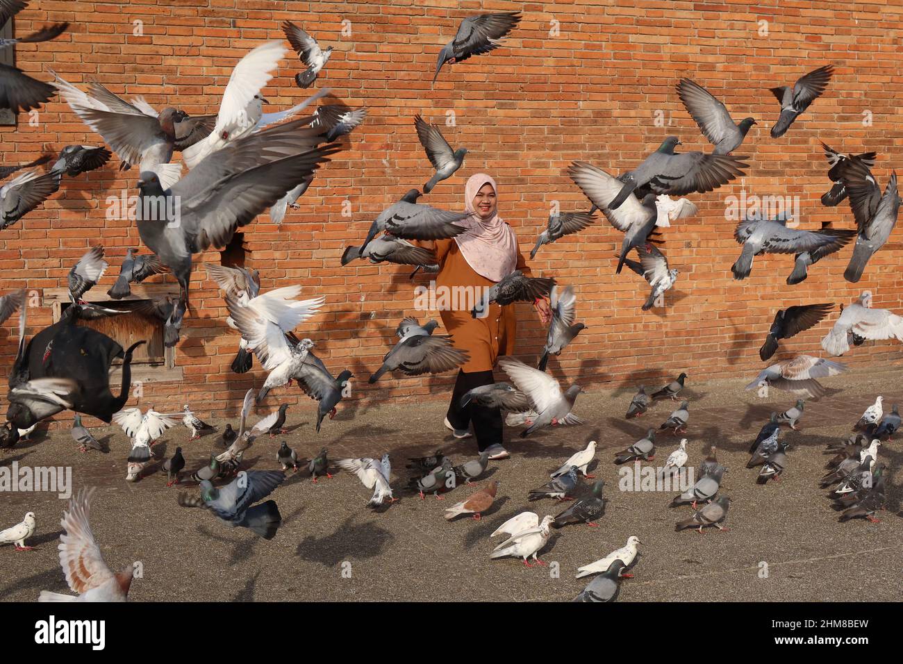 Thai Muslim woman smiling with Pigeons flying  in front of the Tha Phae gate, Chiang Mai, Thailand Stock Photo