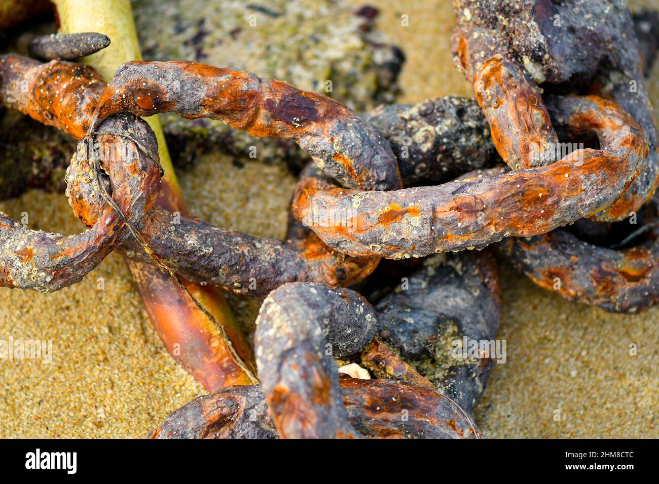Rusty Chain on the beach still connected Stock Photo