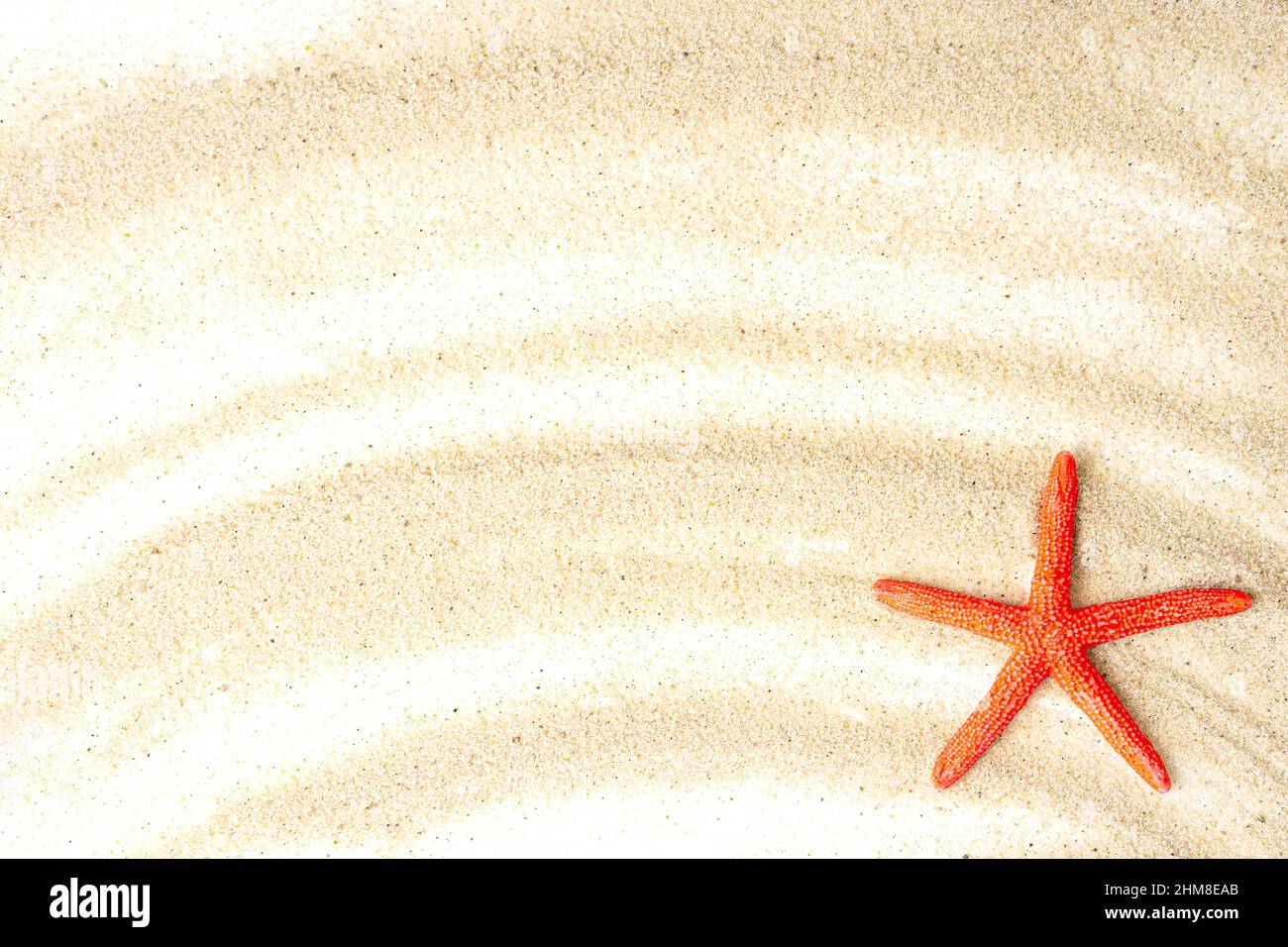 Red starfish on sand. Creative sandy beach vacation background concept. Stock Photo