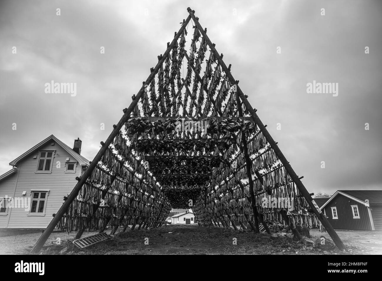 Cod rack Black and White Stock Photos & Images - Alamy