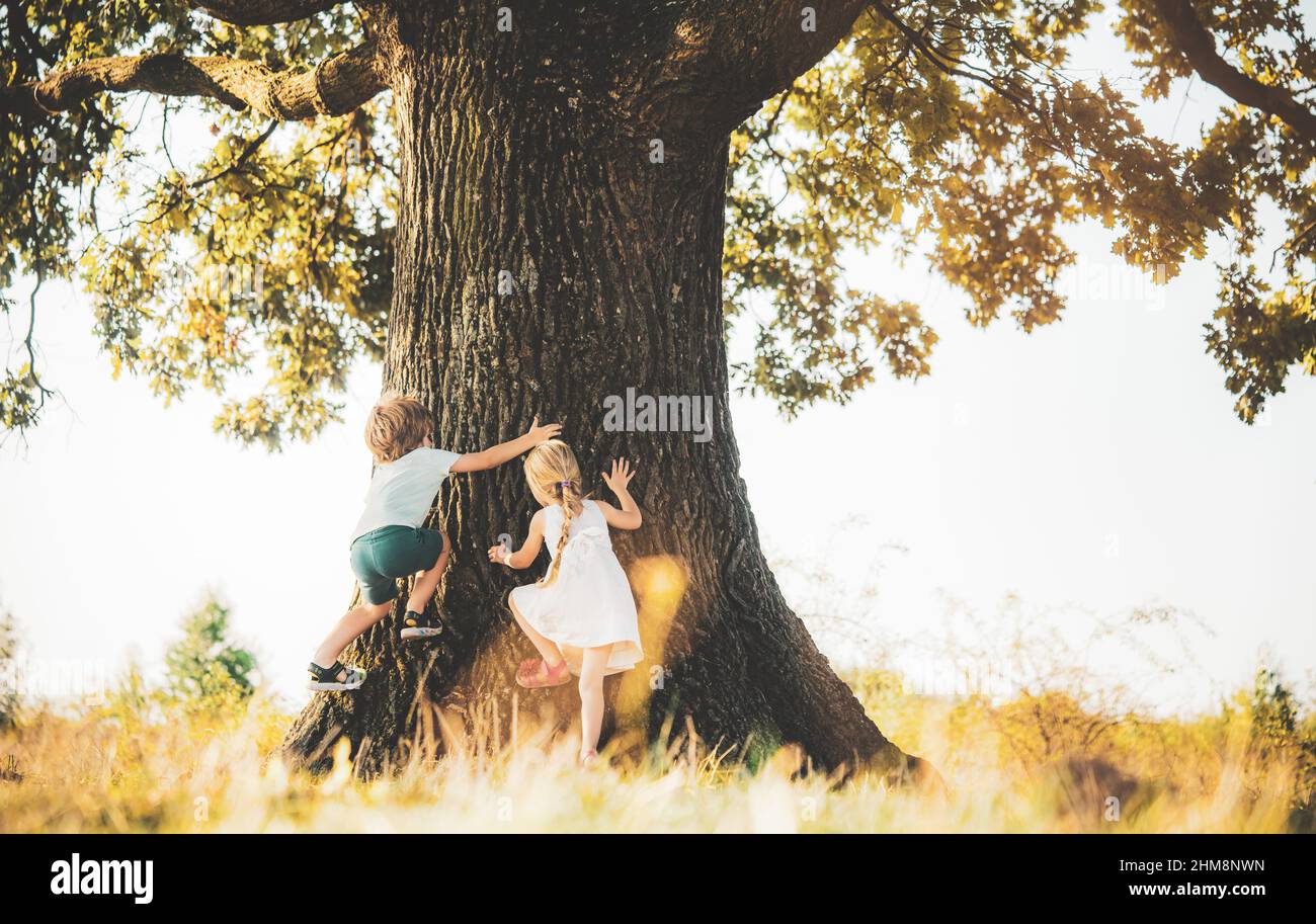 the fear of heights. Happy children on countryside. Climbing