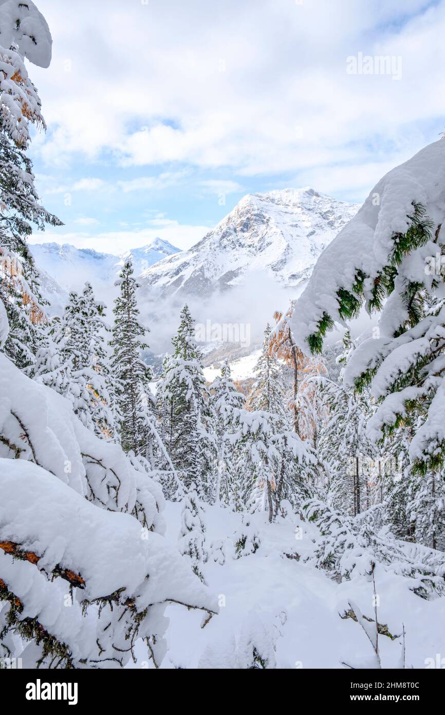 Dopo la copiosa nevicata il paesaggio ci mostra le sue bellissime cime, Valmalenco, Lombardia, Italia Stock Photo
