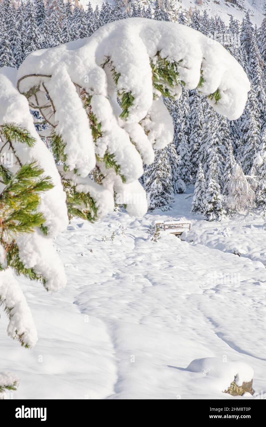 ponticello avvolto in un atmosfera invernale magica, Valmalenco, Lombardia, Italia Stock Photo