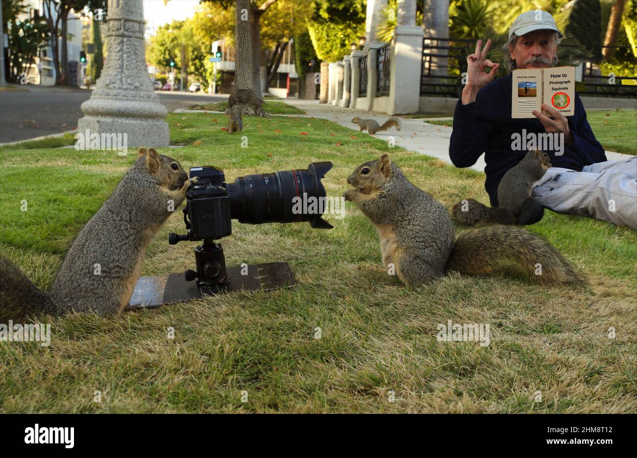 Squirrels with a camera take their own photographs Stock Photo