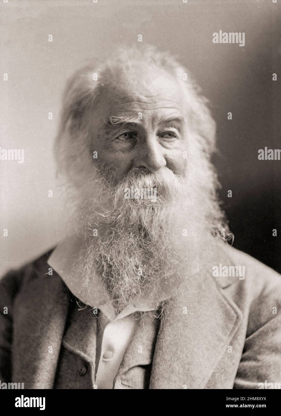 Walt Whitman, 1819 - 1892. American poet.  After a photograph by Napoleon Sarony. Stock Photo