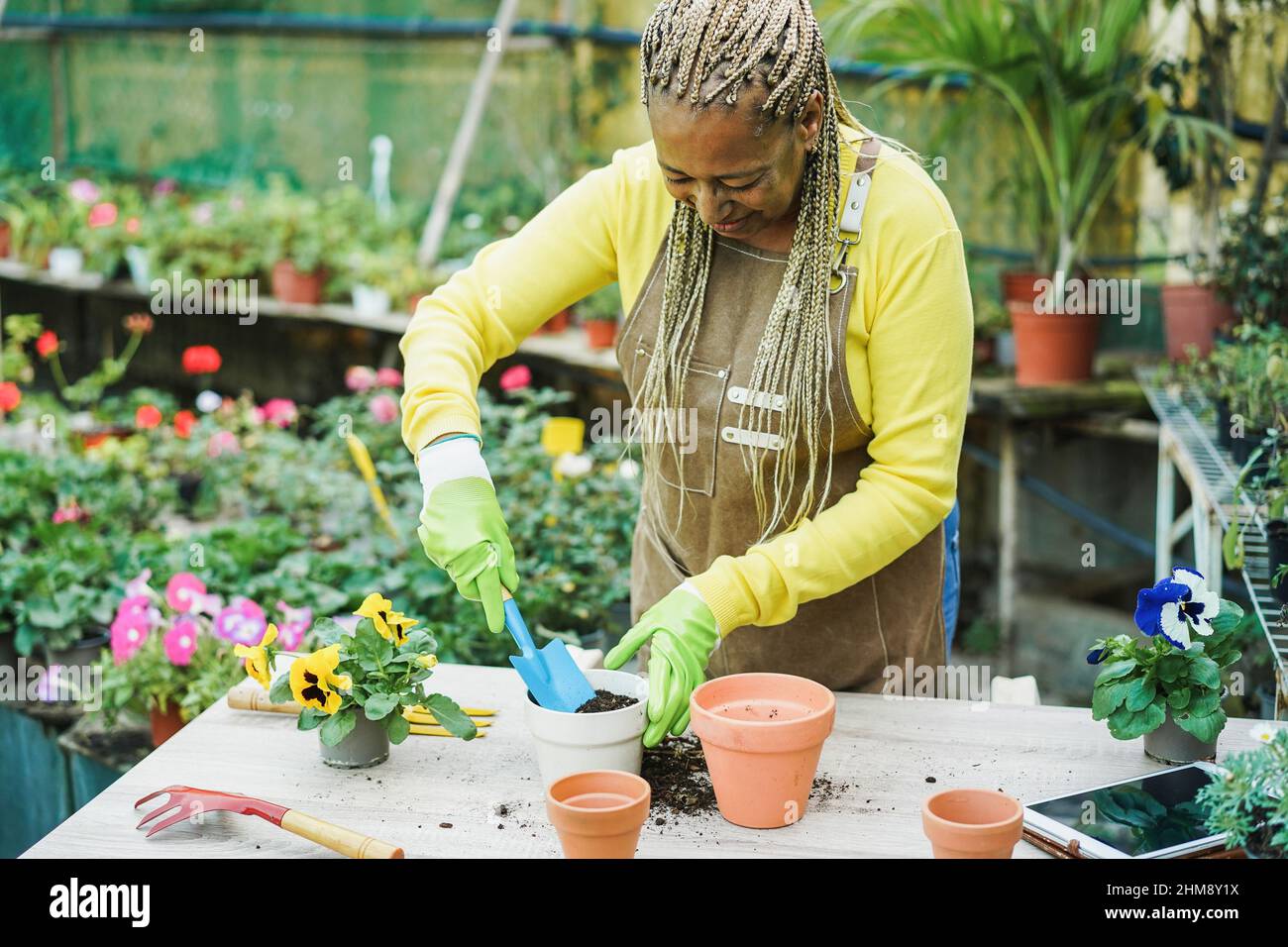 African woman preparing flowers plants inside nursery garden - Green and spring concept - Focus on face Stock Photo