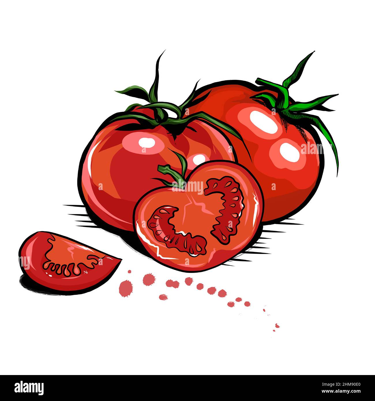 Juicy fresh red tomatoes whole and sliced. Hand drawn in realistic style. Vector illustration. Stock Vector