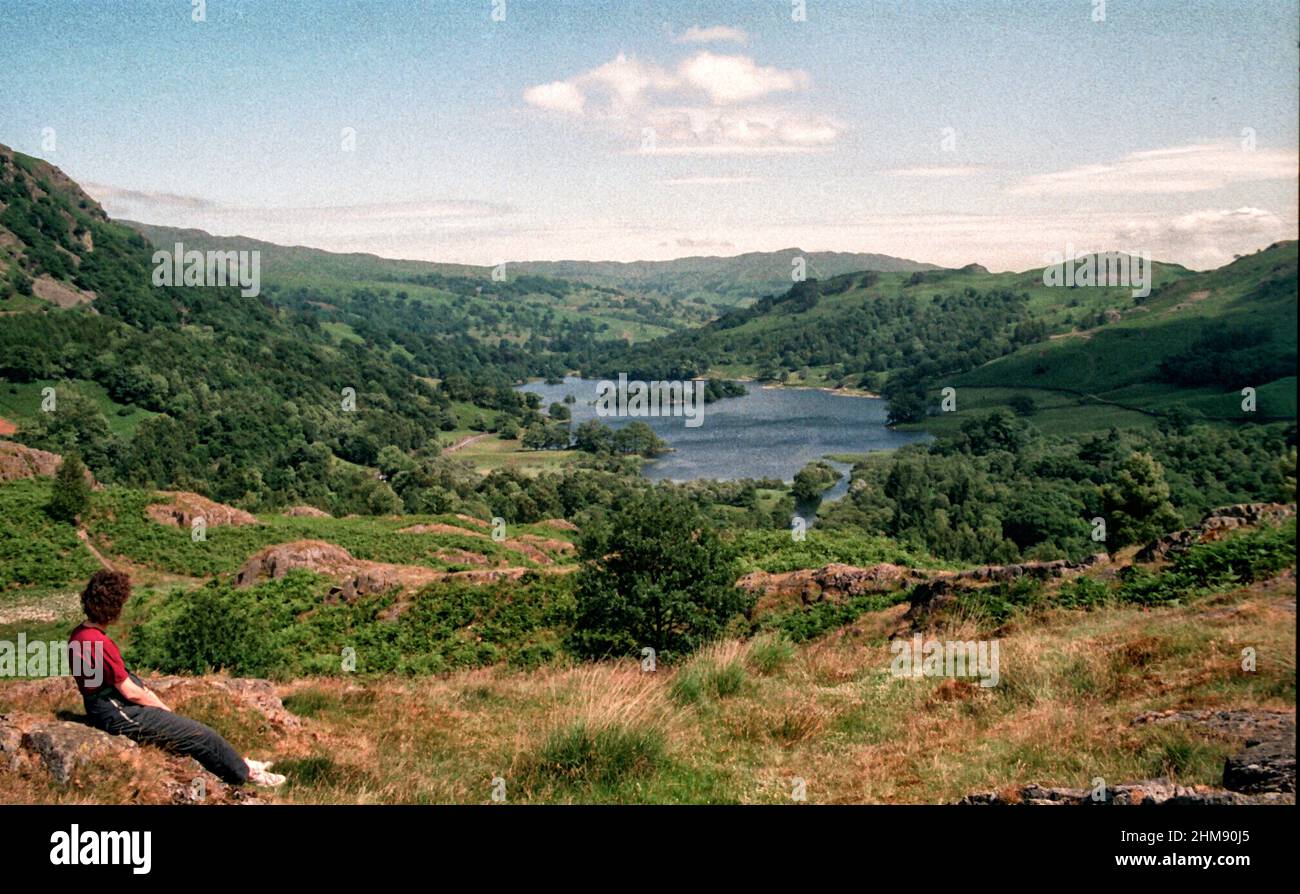 Looking towards Rydal Water in the Lake District Cumbria during summer Stock Photo