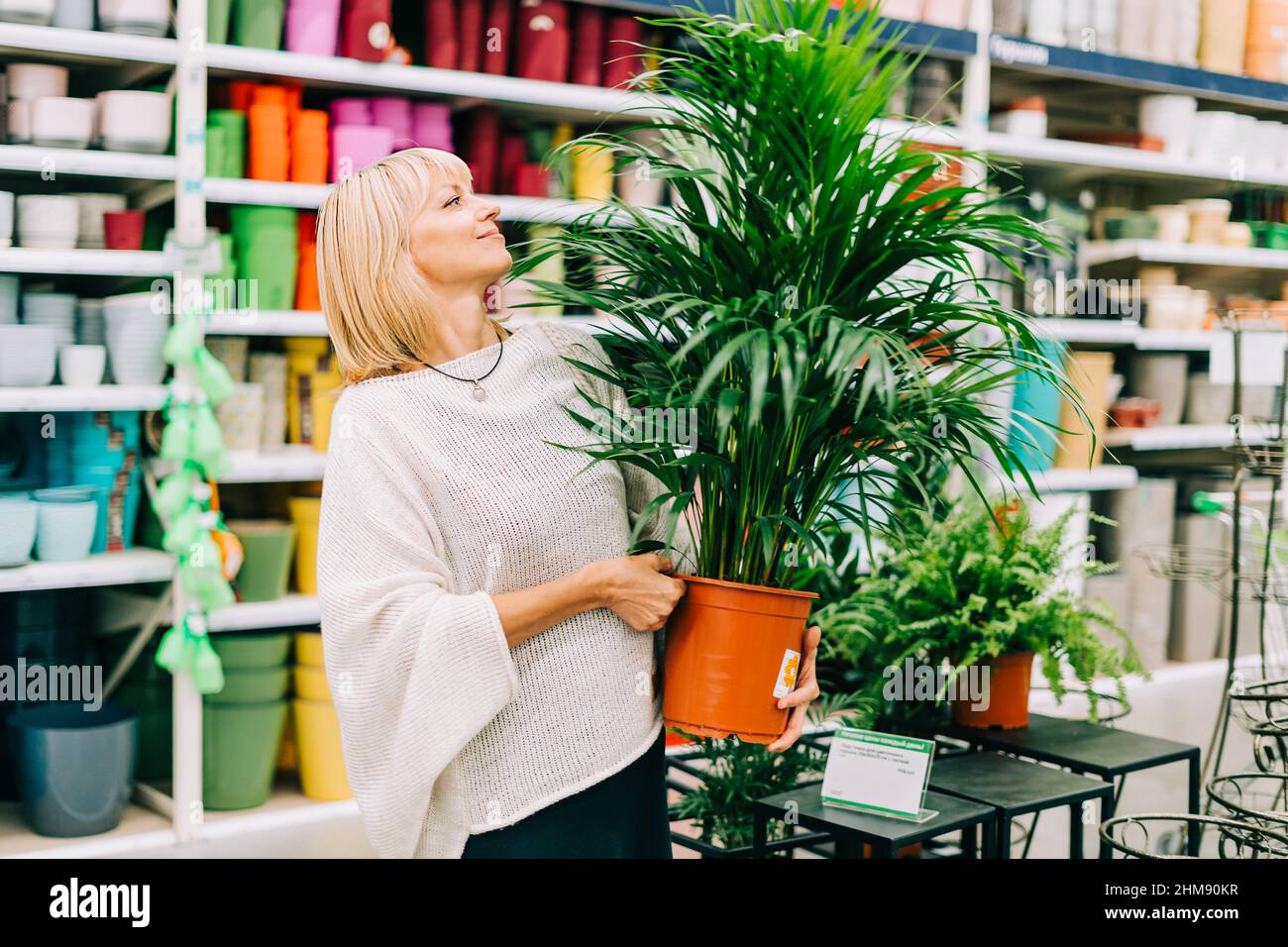 Gardening, planting and shopping concept. Beautiful mature adult woman choosing houseplants and pots in greenhouse or garden centre. Senior buying Stock Photo