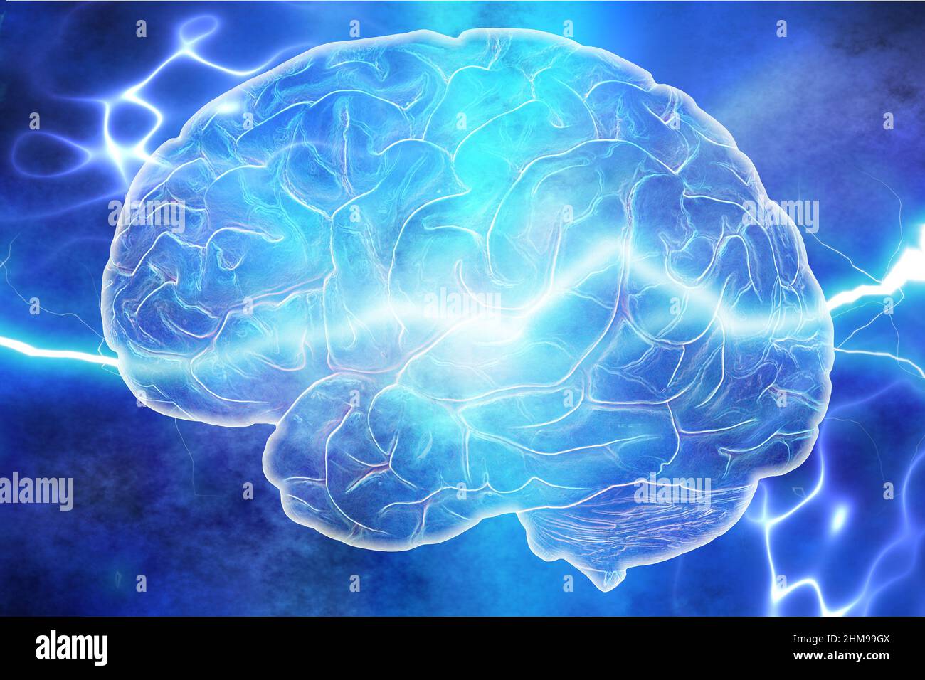 human brain and electric waves, concept for neuroscience and brain neurology Stock Photo